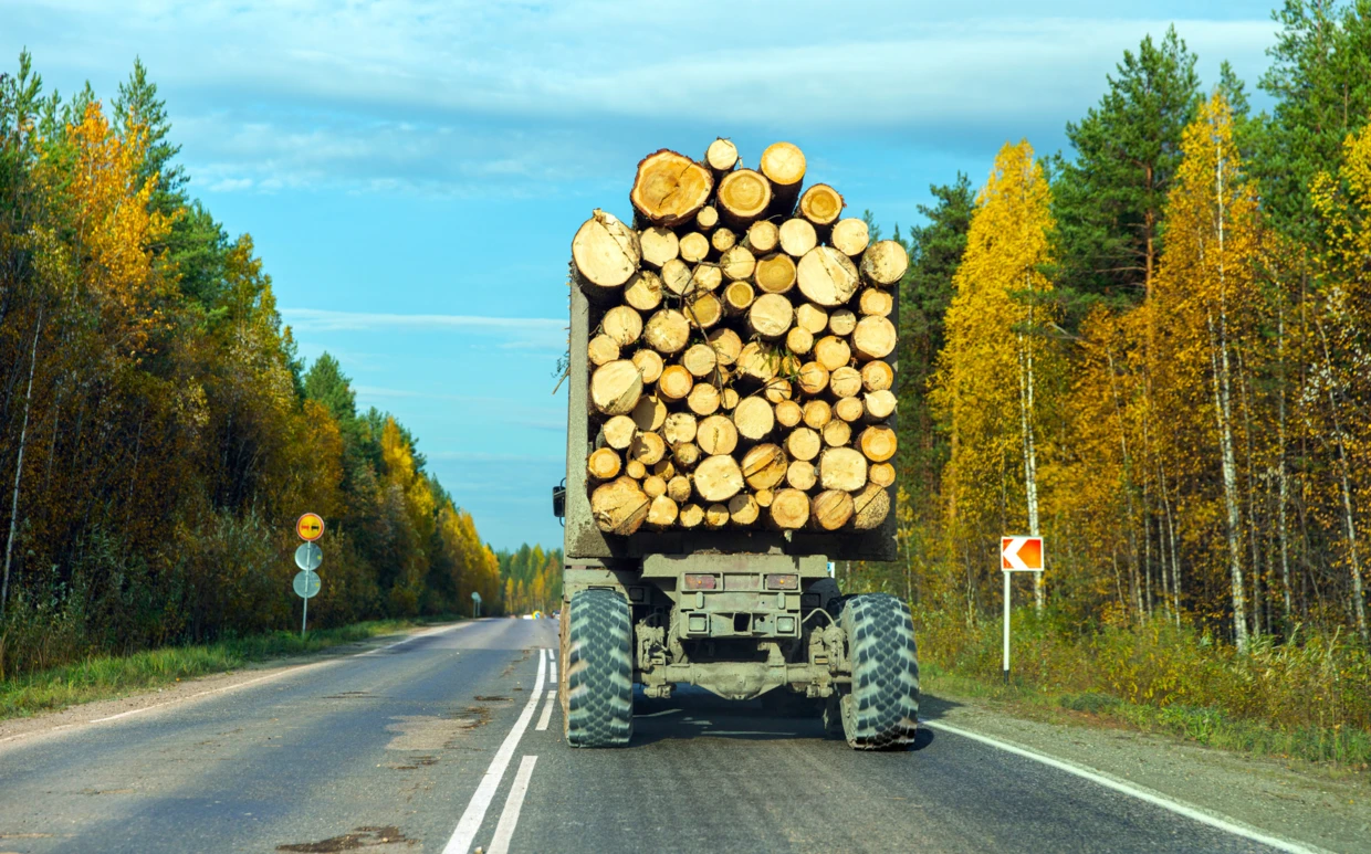 Ciężarówka z drewnem