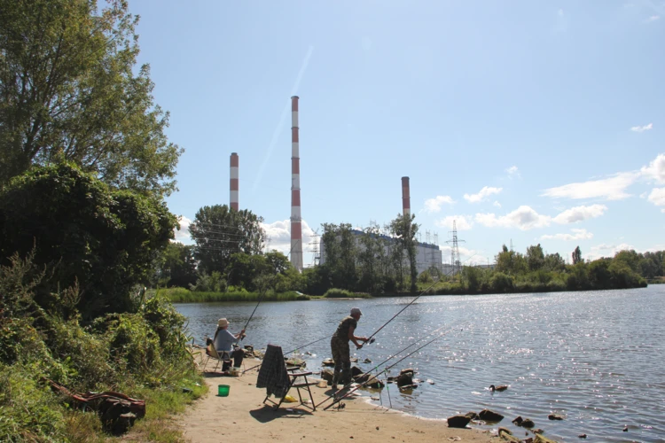 Elektrownia Dolna Odra (PGE)