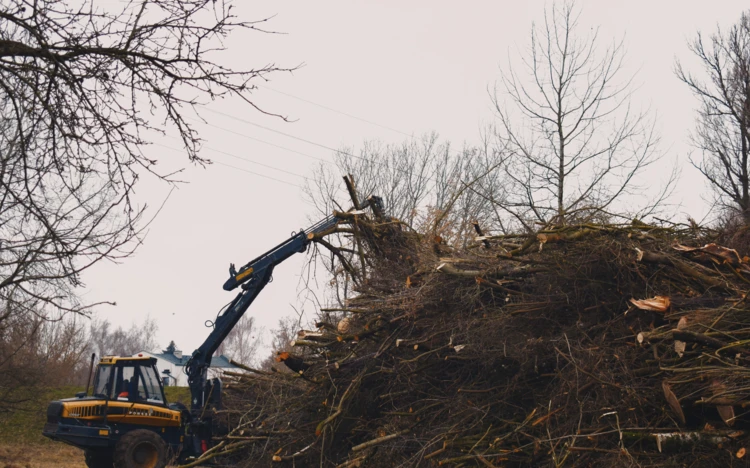 Wycinka zieleni w związku z budową gazociągu warszawskiego